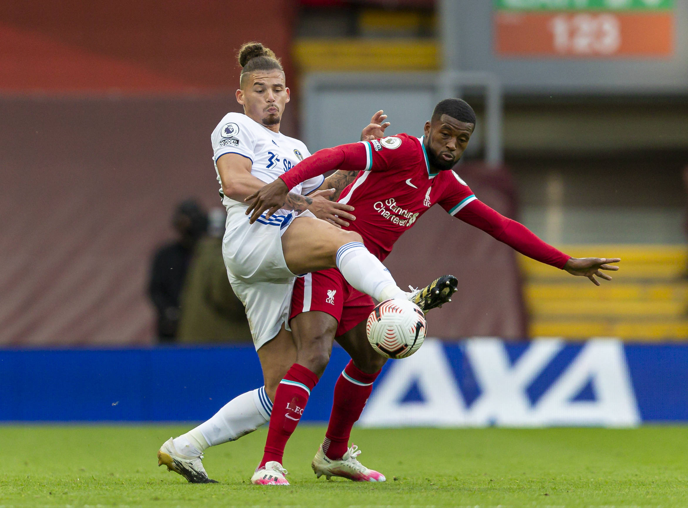 生于芬兰的 生于芬兰的